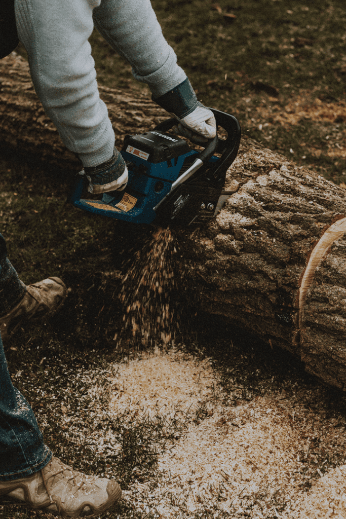 tree removal virginia